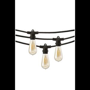 Mr Beams 48' Vintage Edison LED Outdoor String Lights for Outdoor